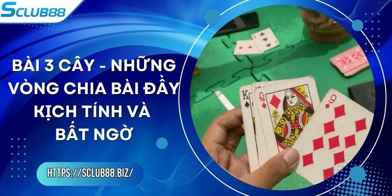 Bài 3 Cây - Những Vòng Chia Bài Đầy Kịch Tính Và Bất Ngờ