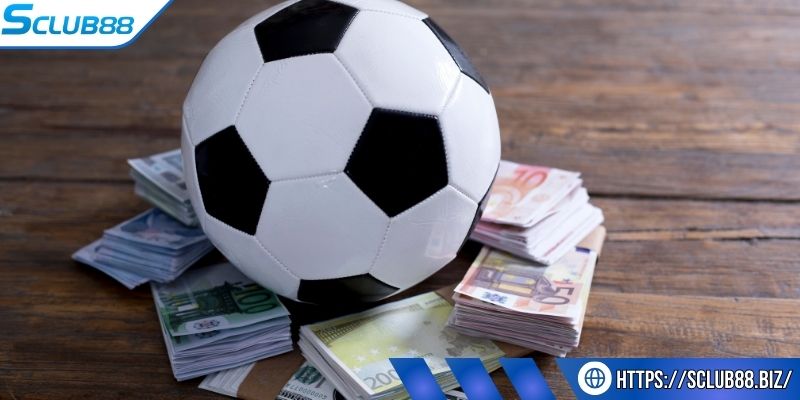 Bỏ túi tips hay từ cao thủ để tránh bẫy dụ