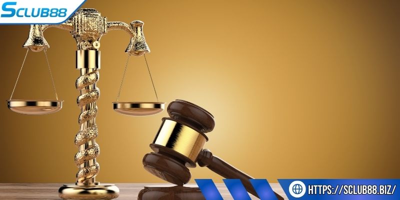 Các mốc xử lý quy định trong pháp luật Việt Nam