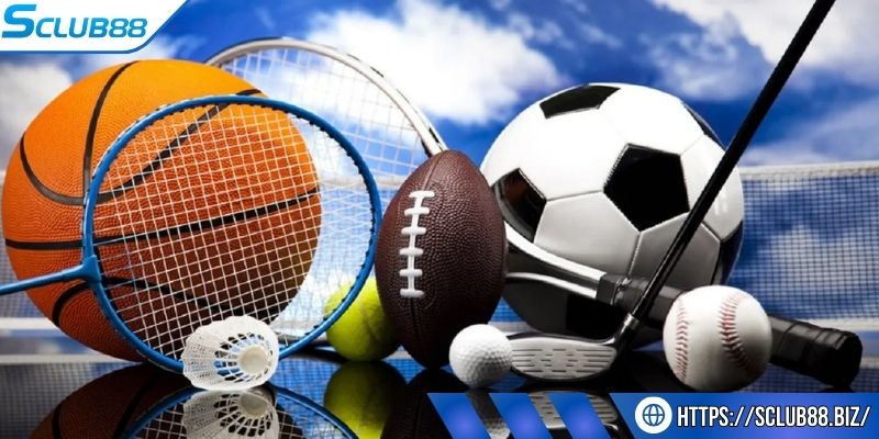 Cách tham gia cá cược trong sảnh thể thao Sclub88
