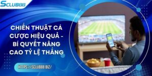 Chiến Thuật Cá Cược Hiệu Quả - Bí Quyết Nâng Cao Tỷ Lệ Thắng