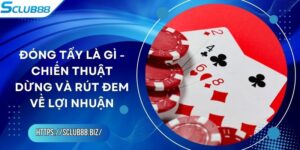 Đóng Tẩy Là Gì - Chiến Thuật Dừng Và Rút Đem Về Lợi Nhuận