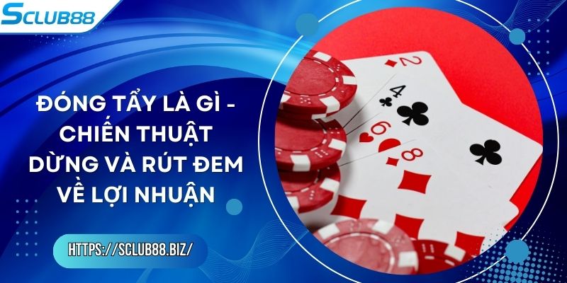 Đóng Tẩy Là Gì - Chiến Thuật Dừng Và Rút Đem Về Lợi Nhuận