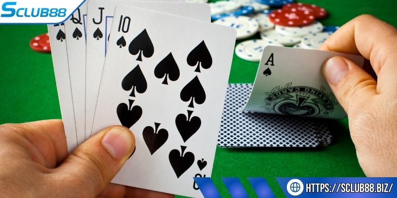Khám phá kỹ thuật lừa thú vị với cách chơi bluff