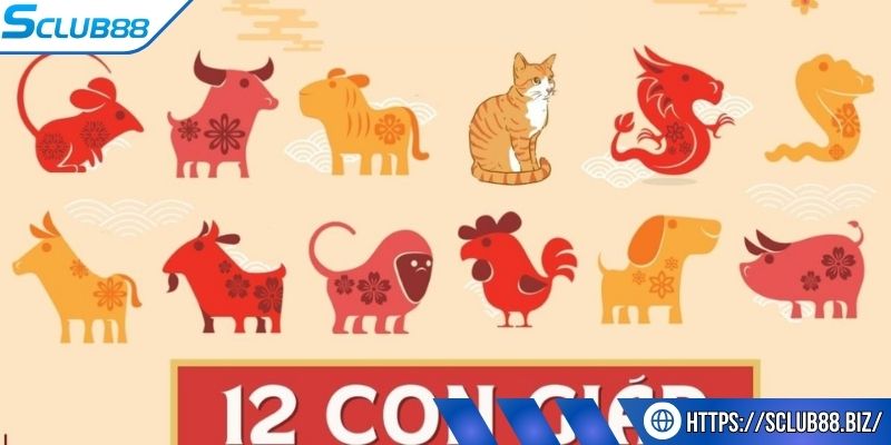 Mẹo phân tích mang đến tỉ lệ thắng cực cao