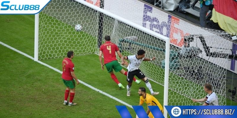 Tìm hiểu các yếu tố dẫn đến phản lưới nhà là gì